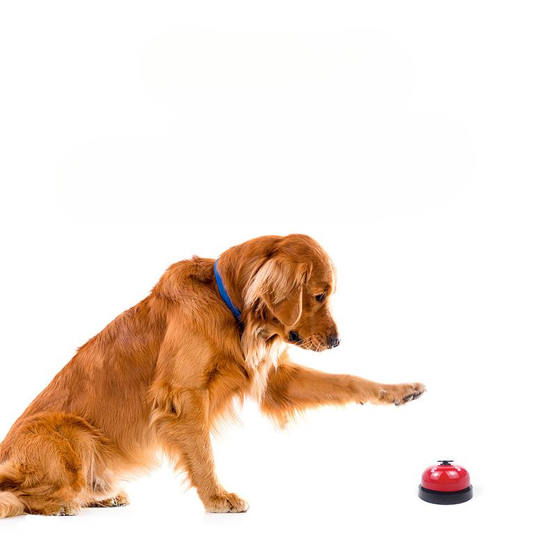 Haustiere läuten die Glocke, um Futter zu bestellen, Hunde- und Katzentrainer-Artefakt, pädagogisches Spielzeug, Essensglocke, Pfotenabdruck-Glocke, Hundespielzeug