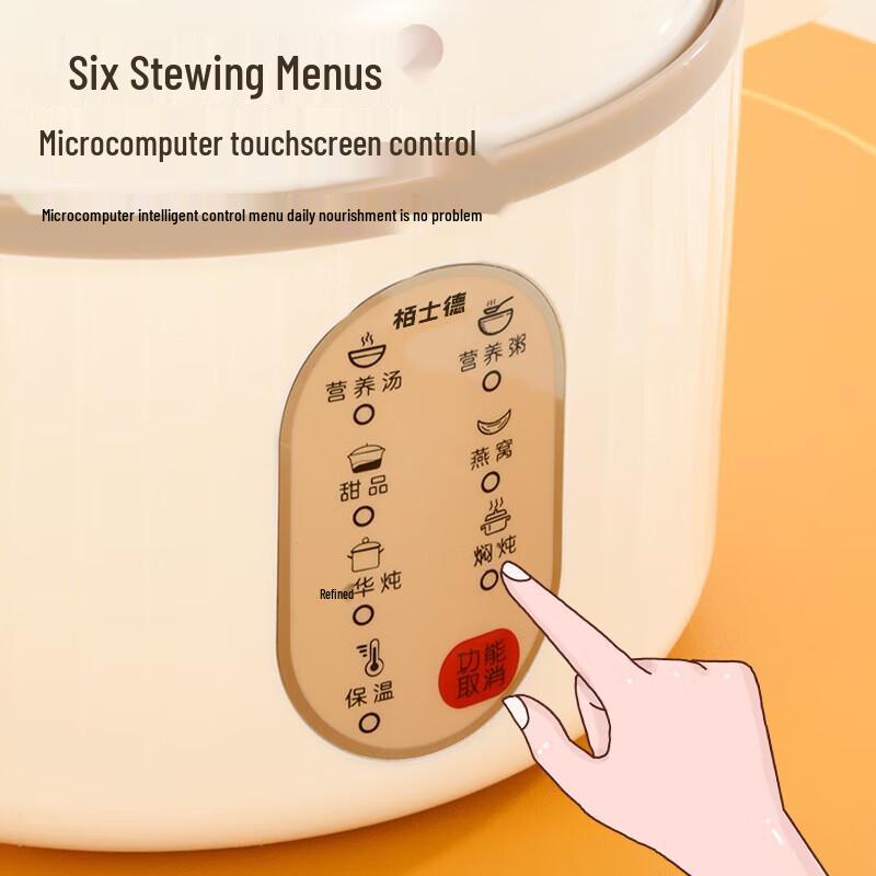 Boside Multifunction Mini Electric Ceramic Stew Pot