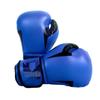 Professional Boxing & Training Gloves