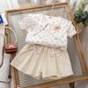 Girls Summer Floral Short Sleeve Tops And Shorts Set Cute Baby Two Piece Outfit Casual Beach Wear