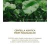 SKIN 1004 - Madagascar Centella Ampoule Mini