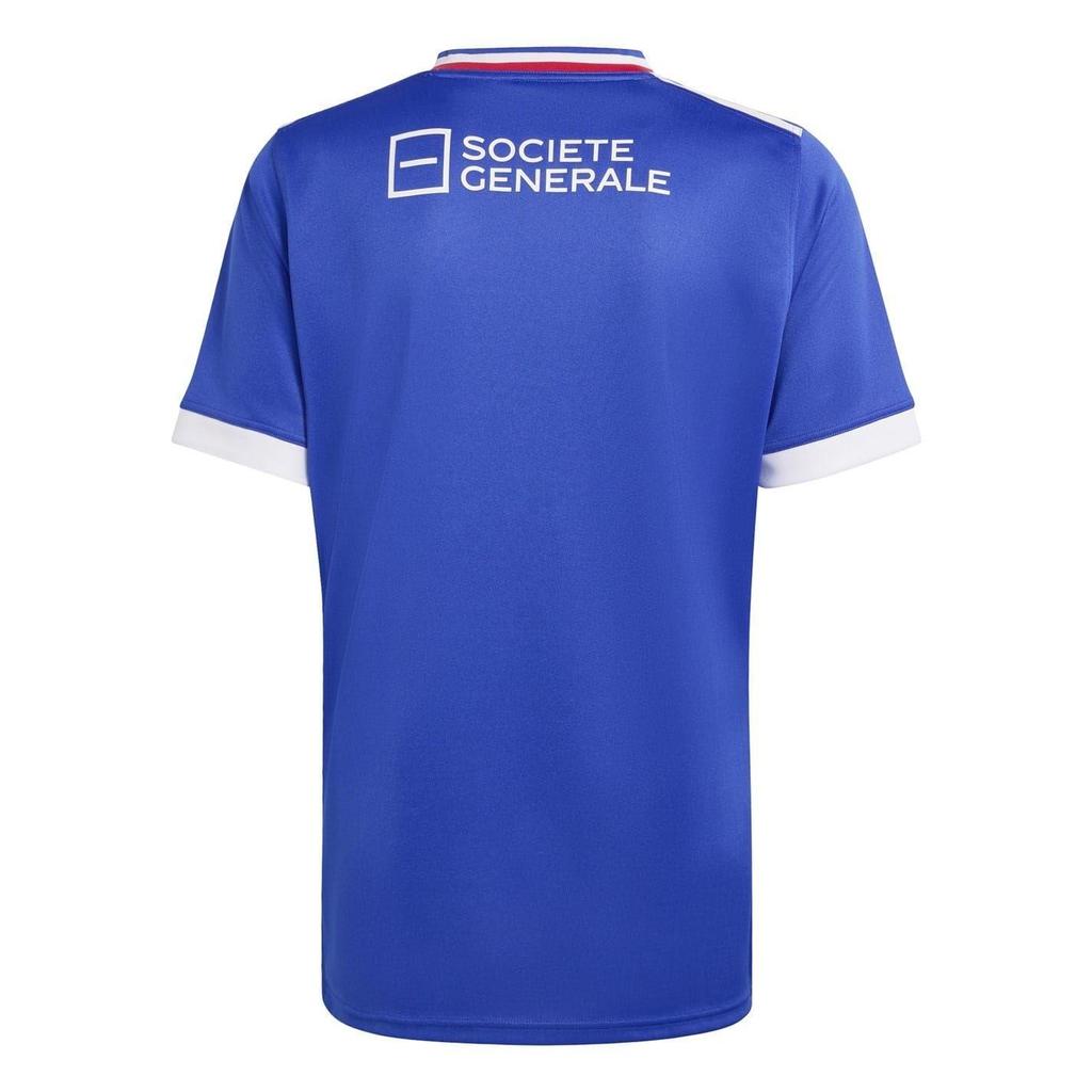 adidas Unisex Adult France Rugby Home Jersey