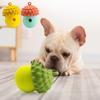 Durable Treat Dispensing Ball Interactive Puppy Teething Toys Dog Toys Chew Balls IQ Training