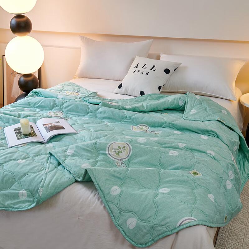 Zmn Mint Cooling Summer Quilt