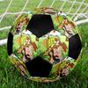 Pettson and Findus Theme Size 5 Soccer Ball, Suitable for Both Indoor and Outdoor Matches, a Gift Suitable for Everyone.