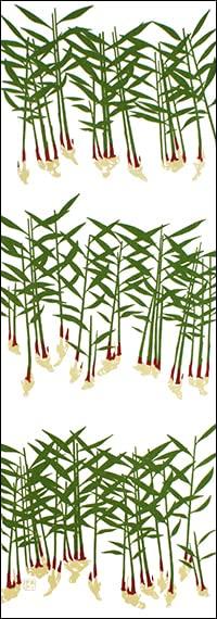 

Dyeing Anbo Hand Towel Authentic Dyed Cotton Tokuoka Made in Japan 35cm x 100cm Yanaka Ginger 100%