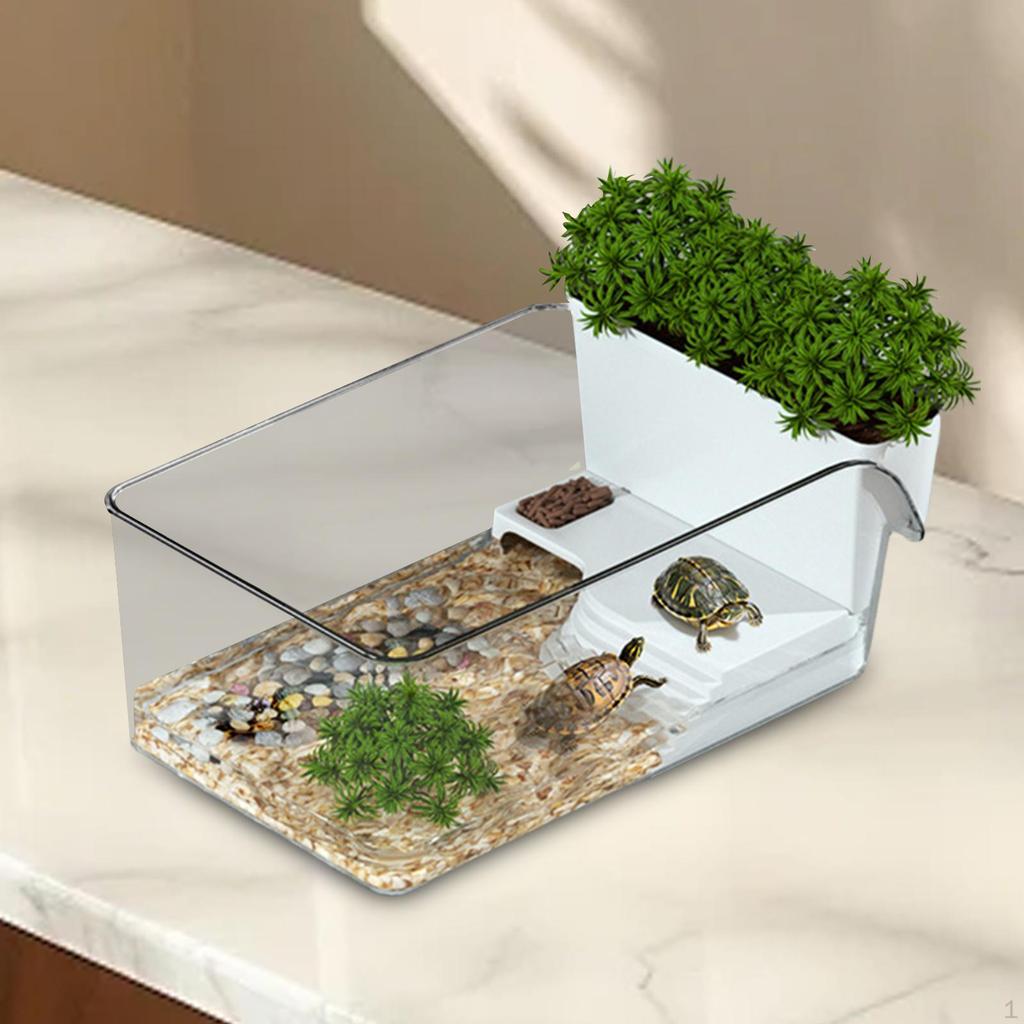 Aquarium for Small Reptiles with Terrapin Breeding Box