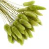 50pcs Dried Rabbit Tail Grass Flowers Artificial Plant Wedding Party