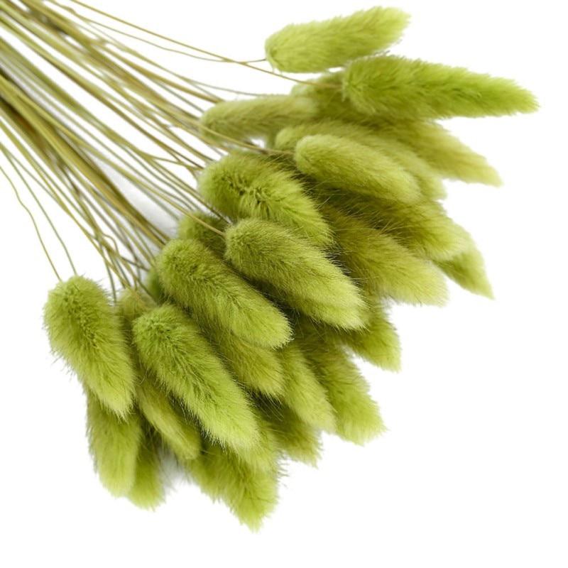 50pcs Dried Rabbit Tail Grass Flowers Artificial Plant Wedding Party