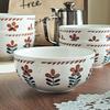 ZISIZ Heat-Resistant Ceramic Bowls