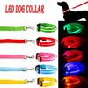 Haustier LED leuchtendes Hundehalsband wiederaufladbar für kleine mittlere große Hunde