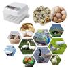 16 Eggs Dual-electric Fully Automatic Turning Egg Incubator Household Farm Poultry Hatching Tool Chicken Ducks Birds Brooder