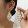 Banquet Protagonist Exquisite Daughter Flashing Zirconium Hollow Earrings Female Light Luxury Niche Exaggerated Earrings Temperament Unique Earrings