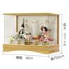 Hina Emperor and Empress Display Sakuraakari Acrylic Display Momoikada 49cm W X 26cm D X 37cm Includes Dolls, Case, Case, Design, Wooden, H, Costumes,