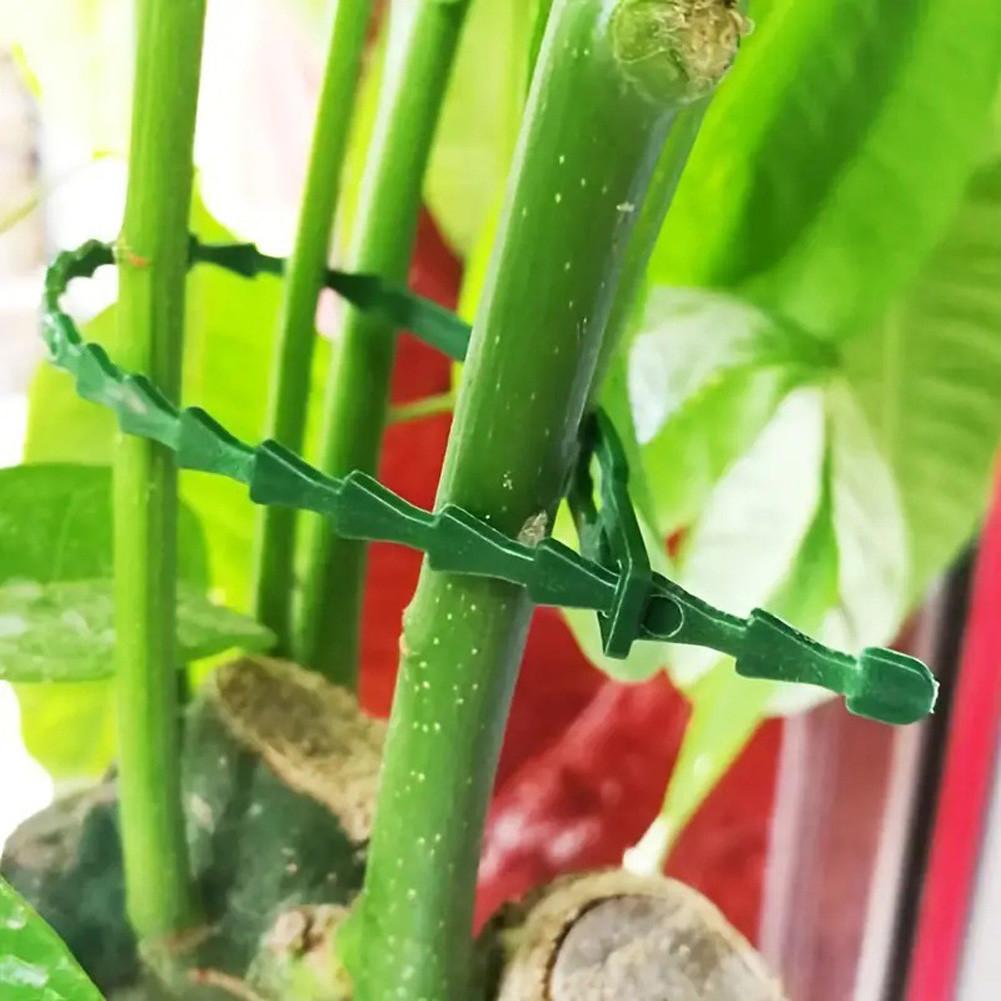 100pcs Adjustable Plant Cable Ties Reusable Cable Ties for Garden Tree Climbing Support Plant Vine Tomato Stem Clip