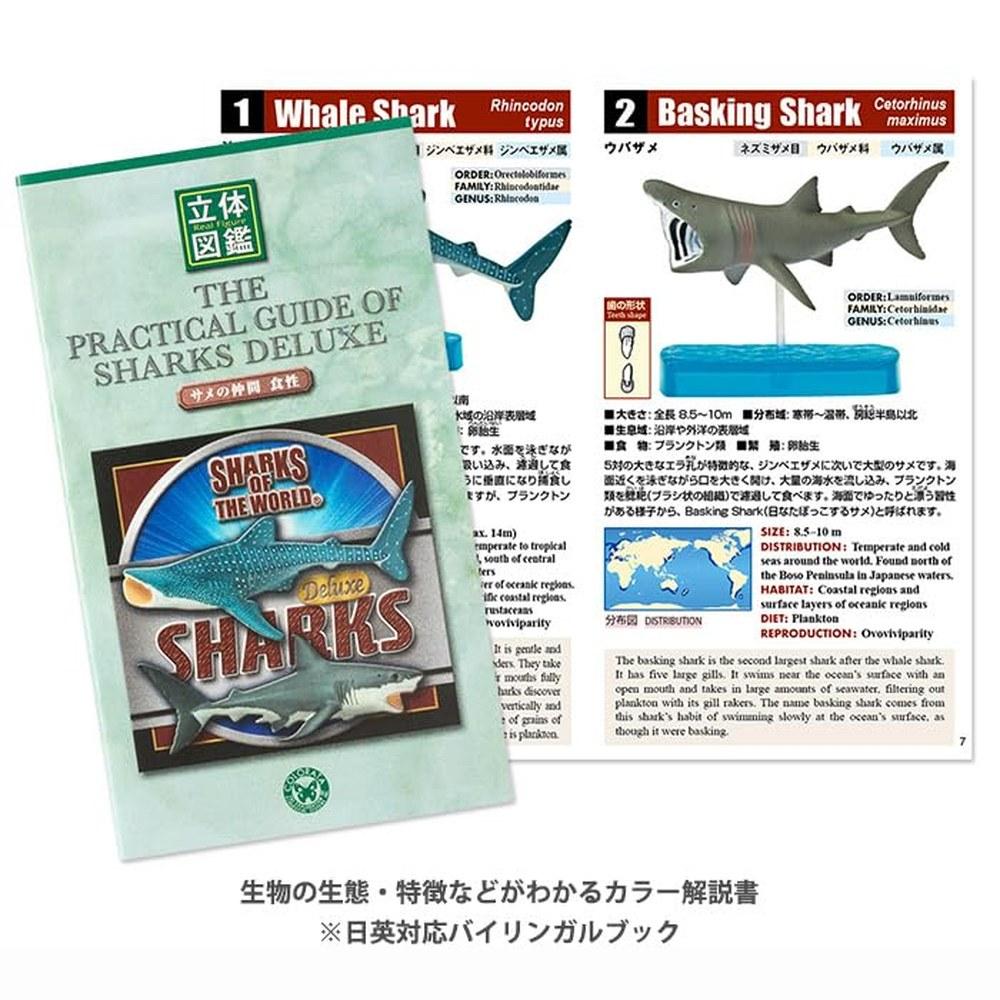 COLORATA Shark Species 3D Encyclopedia Figure Set 9 Types with Explanation Book Stand Realistic Box Toy Educational Gift Food Sanitation Law Christmas