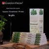 GR Indian Handmade Aromatherapy Incense - 43 Authentic Scents for Home Use