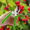 Stainless Steel Pruning Shears Garden Fruit Tree Shears Outdoor Fruit Picking Shears Gardening