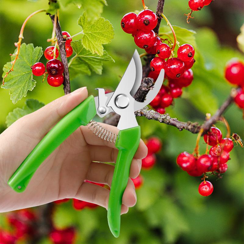 Stainless Steel Pruning Shears Garden Fruit Tree Shears Outdoor Fruit Picking Shears Gardening