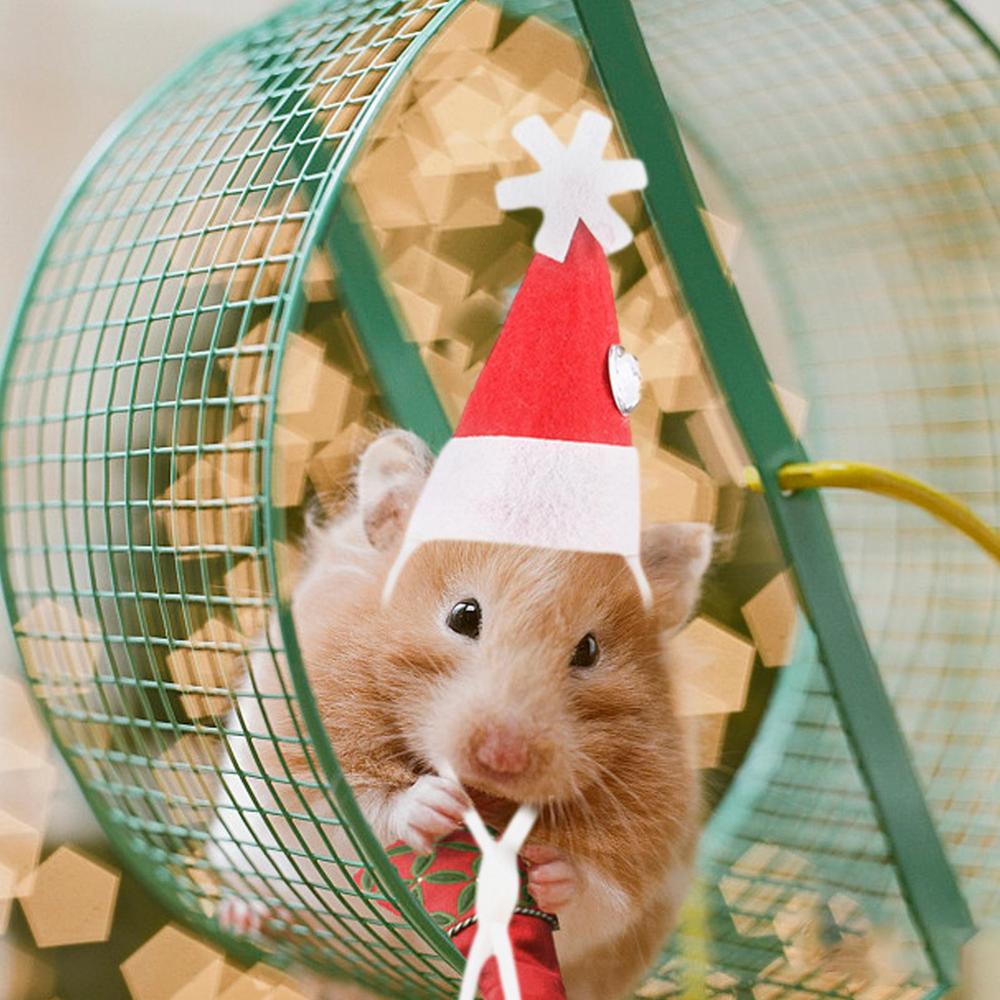 Jul Husdjur Kyckling Hatt Justerbar Jul Kanin Röda Hattar Smådjur Juldräkt För Hamster Chinchilla Igelkott