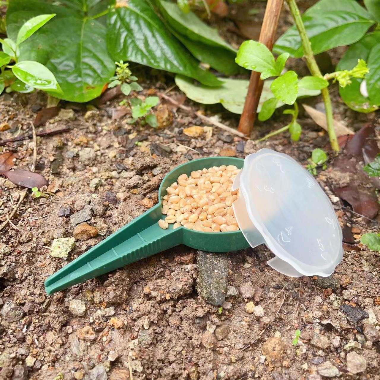 

Horticultural Tool: Seedling Tray Seeder