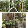 6ft Garden Obelisk Trellis for Climbing Plants-Rustproof Metal Pipe with Heavy Duty Plastic Coated, Garden Outdoor Indoor Potted