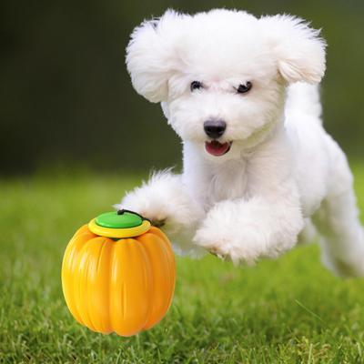 Dog Toy for Interactive Play and Exercise