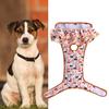 Hunde – Hundepflege-Artikel
