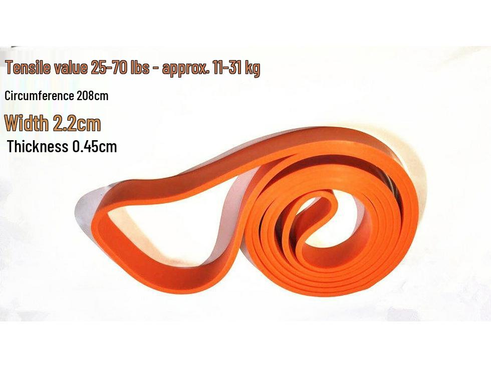 Gym Resistance & Yoga Stretch Band for Pull-Ups and Glute Workouts