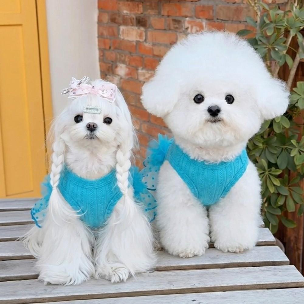 Sleeveless Cat Princess Dress Thin & Soft Summer Pet Clothes Cute Pet Dog Dress Pet Decor