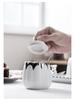 Creative Ceramic Kitchen Spice Jar Set - Salt and Seasoning Storage