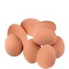 Huisdierspeelgoed Realistische Rubber Eierbal Leuk En Schattig Ideaal Om Op Te Kauwen 60g