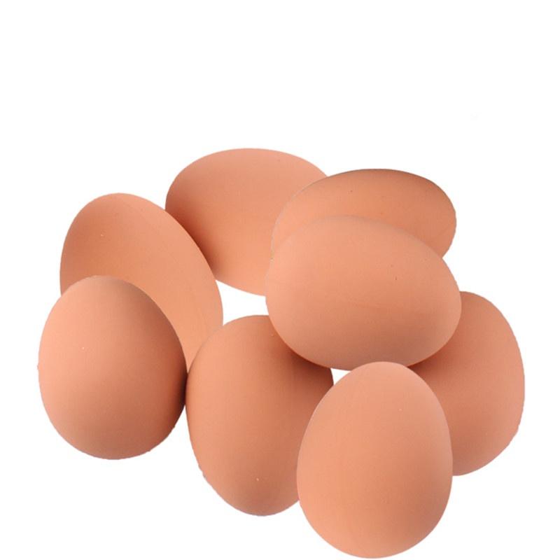 Huisdierspeelgoed Realistische Rubber Eierbal Leuk En Schattig Ideaal Om Op Te Kauwen 60g