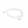 Urban Factory USB C Cable Urban Factory TCE01UF White