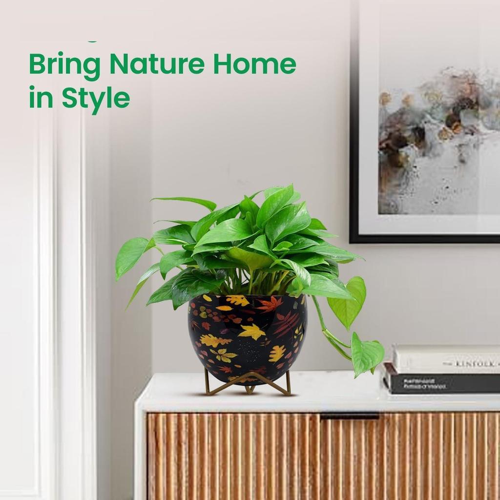 Metal Flower Vase Planter Pot with Iron Stand, Pots for Plants, Plant Pots for Home Decoration, Succulent Pot, Indoor Planter Balcony Garden Decor