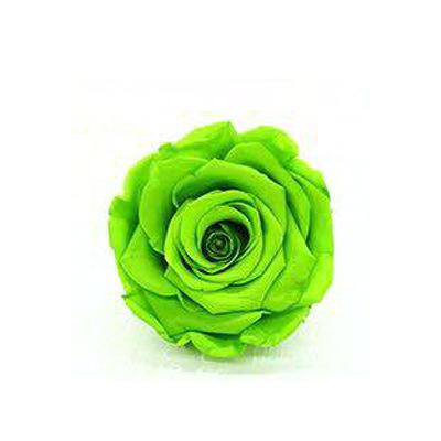 P-1 21 Preserved Roses in a Box Wedding Decor Floral Arrangements Wedding Dried Flower Home Decor Baby Shower Flowers 2~3cm