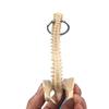 Miniaturní klíčenka lidské páteře - Model kostry bederních obratlů