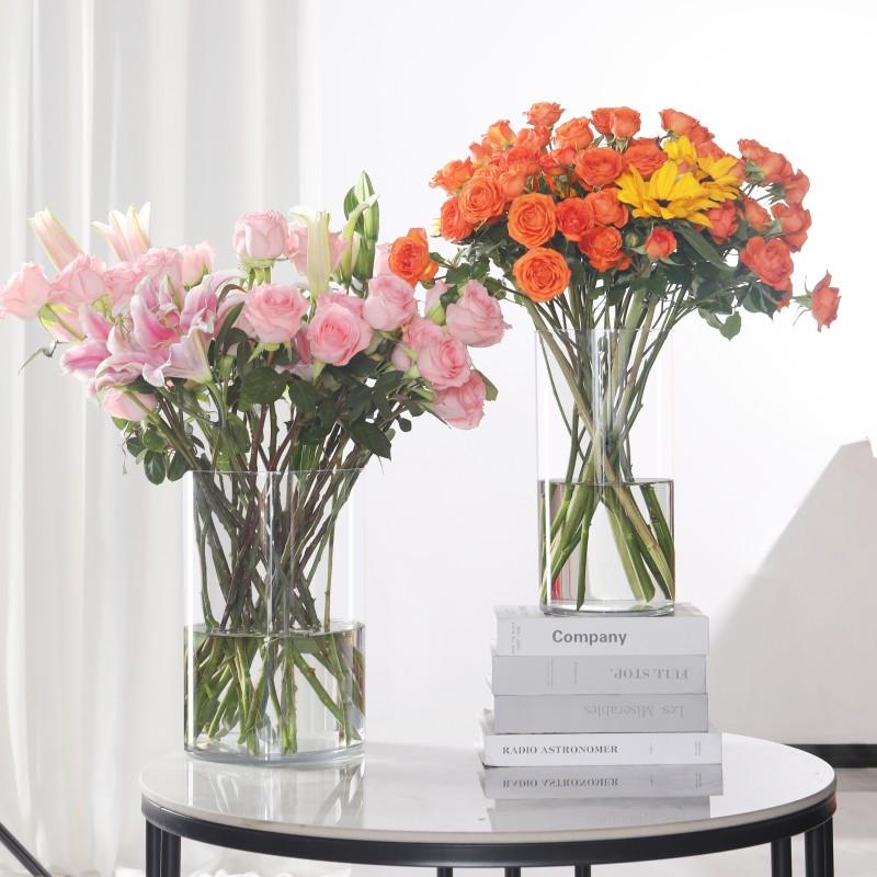 Transparent PET Vase for Water-cultured Flower Arrangements,Living Room Decorations,Hydroponic Containers,Large Flower Bucket
