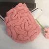Lovely Cerebrum Beanies Hat Windproof Skull Hat Female Thick Warm Hat Outdoor Hat Cold Weather Beanies for Adult