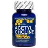 Acetylcholine Brain Food & Serotonin Brain Food Bundle - Supports a Positive Mood & Cognitive Function