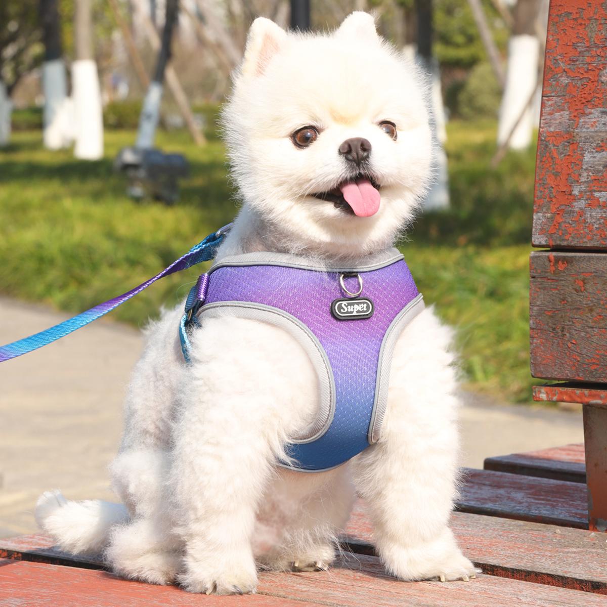 

1pc Dog Harness for Small, Medium, Pet Dog Ombre Harness and Leash Set. S