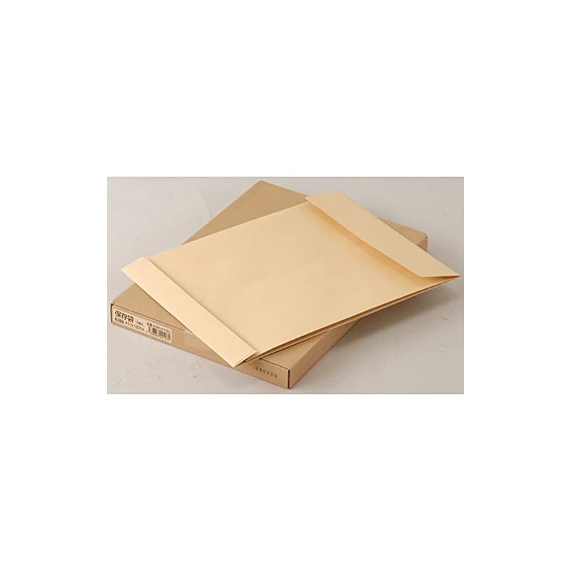 King Corporation Envelopes, Storage Type, Square Size 2, 10 envelopes, Kraft Paper, K2KH120