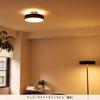 Artwork Studio Glow 4000 LED Ceiling Light for Tatami Toning Indirect Lighting Remote Control Light LED ~8 Mats, 40,000 Hours, Dimming, (warm/white