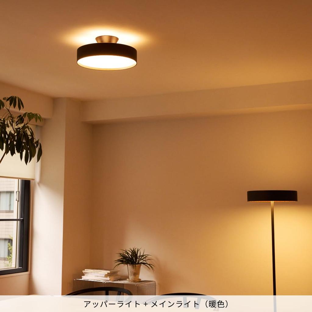Artwork Studio Glow 4000 LED Ceiling Light for Tatami Toning Indirect Lighting Remote Control Light LED ~8 Mats, 40,000 Hours, Dimming, (warm/white