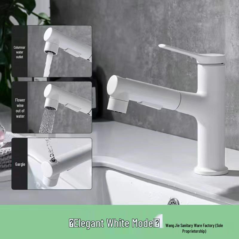 Lucky Cat Hot & Cold Stainless Steel Faucet for Kitchen & Bathroom Sink