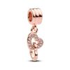 New 925 Silver Summer Coin Twelve Constellation Carving Hang Tag Charm Beads Suitable for Bracelets, Necklaces, Fashion Jewelry