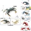 Crab Ocean Creatures Plastic Model Kids Educational Toy For Marine Science Learning