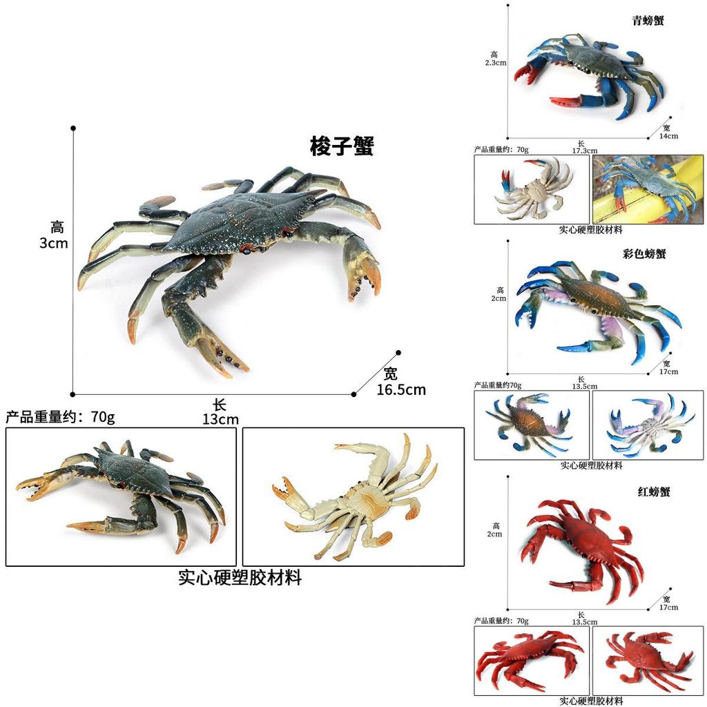 Crab Ocean Creatures Plastic Model Kids Educational Toy For Marine Science Learning