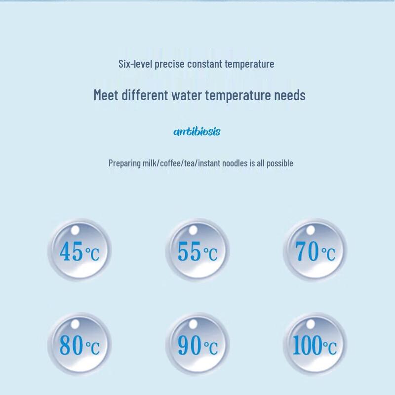 Amos Pure Titanium Portable Electric Kettle & Thermos 450mL