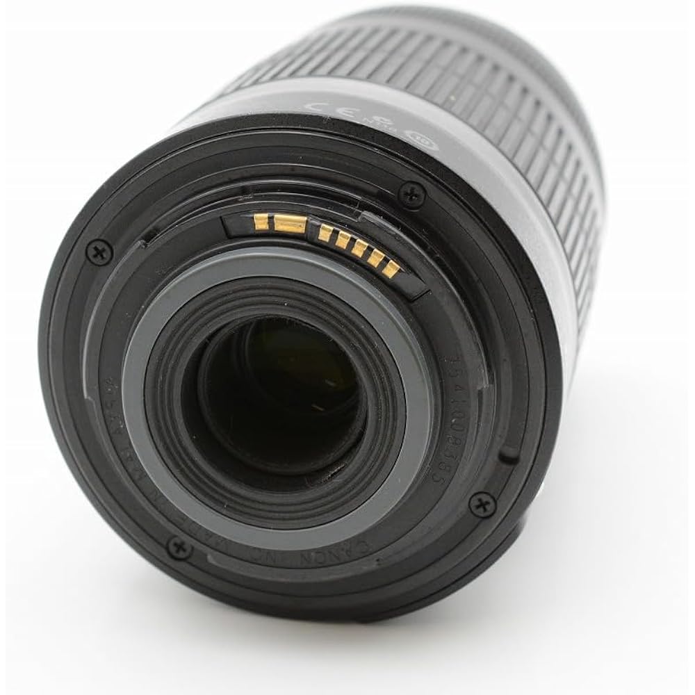 Canon Telephoto Lens EF-S55-250mm F4-5.6 IS APS-C Compatible